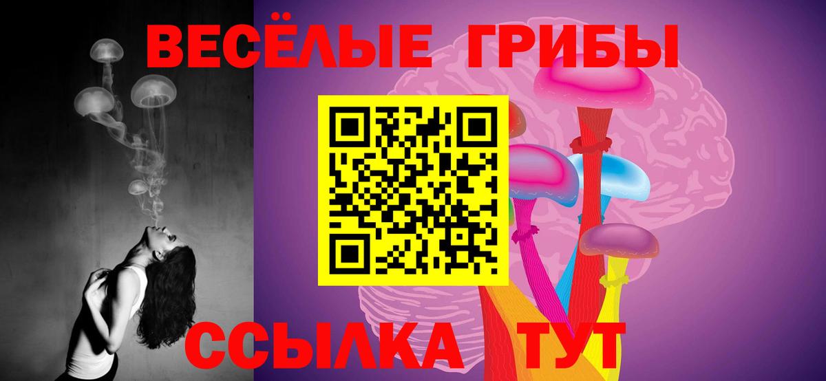 Псилоцибиновые грибы ЛСД  Вход с VPN  Скопин  купить закладку  Псилоцибиновые грибы GOLDEN TEACHER 